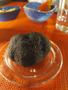 Descubre la Trufa Negra de Teruel: Una Joya Culinaria